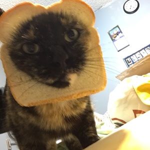 Meet your Posher, Violet